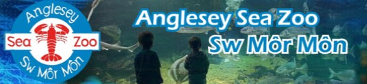 Anglesey Sea Zoo
